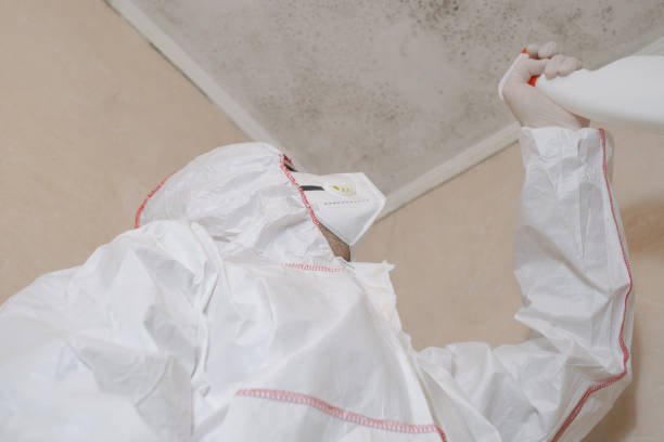 Biohazard Mold Removal in Gosport, IN